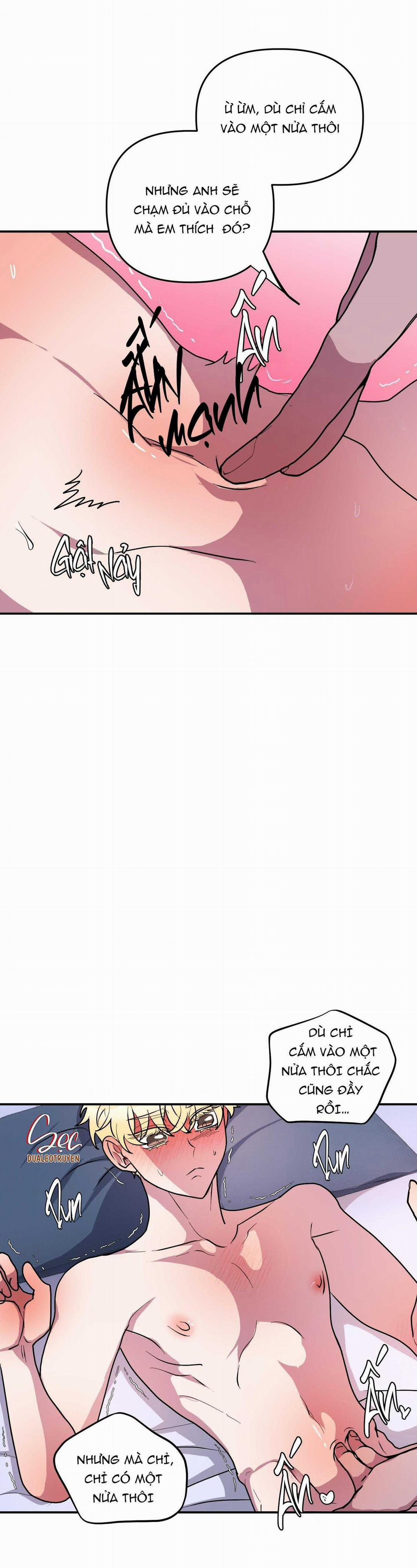 CÁ MẬP VÀ CÔ DÂU THỎ 50 trang 6