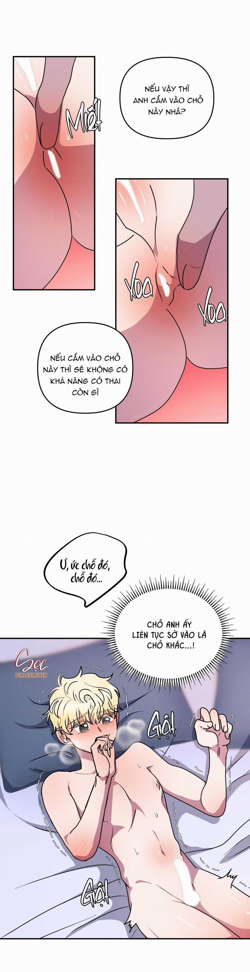 CÁ MẬP VÀ CÔ DÂU THỎ 50 trang 9