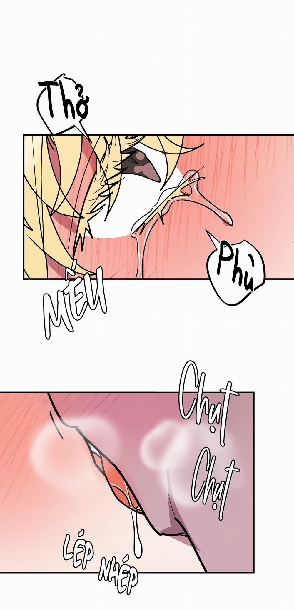 CÁ MẬP VÀ CÔ DÂU THỎ 51 trang 13