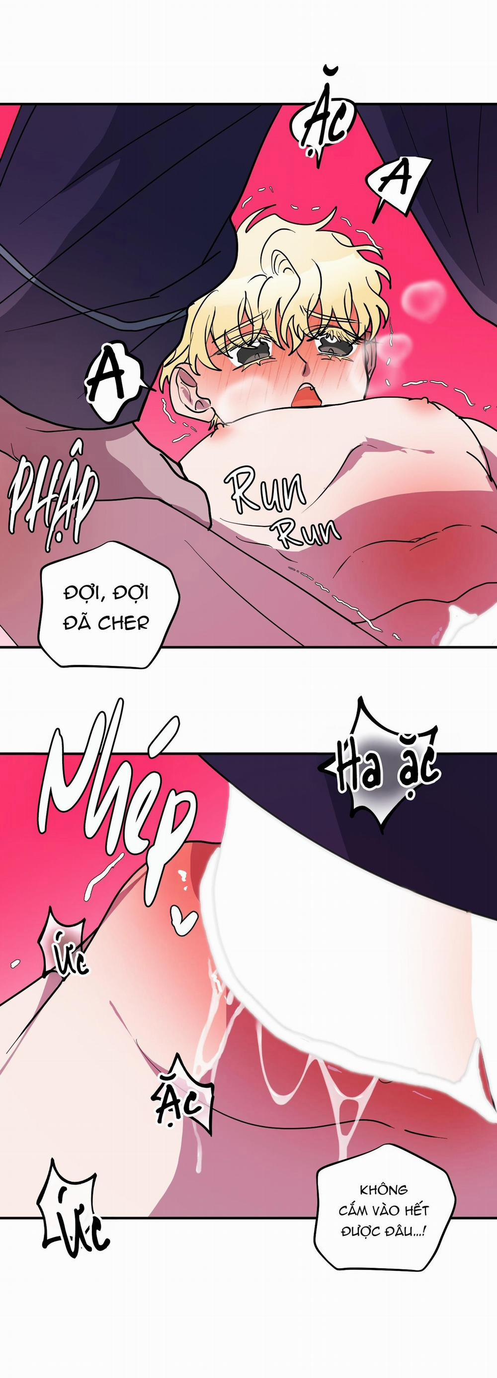 CÁ MẬP VÀ CÔ DÂU THỎ 51 trang 28