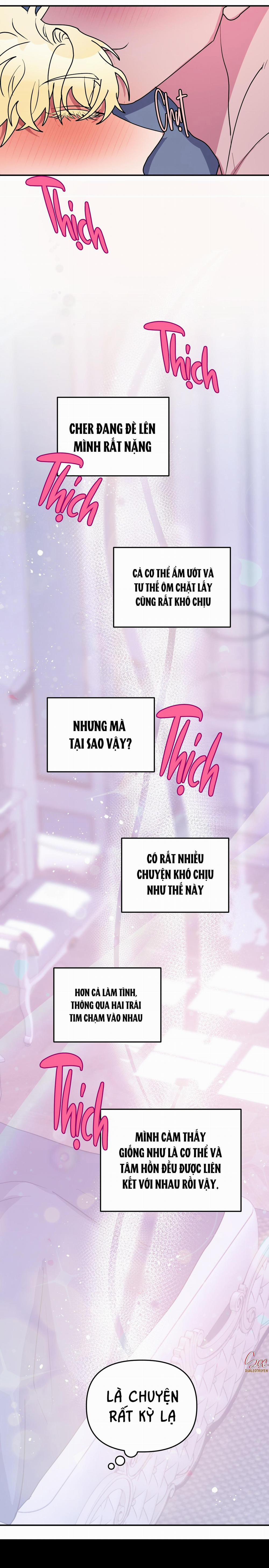 CÁ MẬP VÀ CÔ DÂU THỎ 51 trang 46