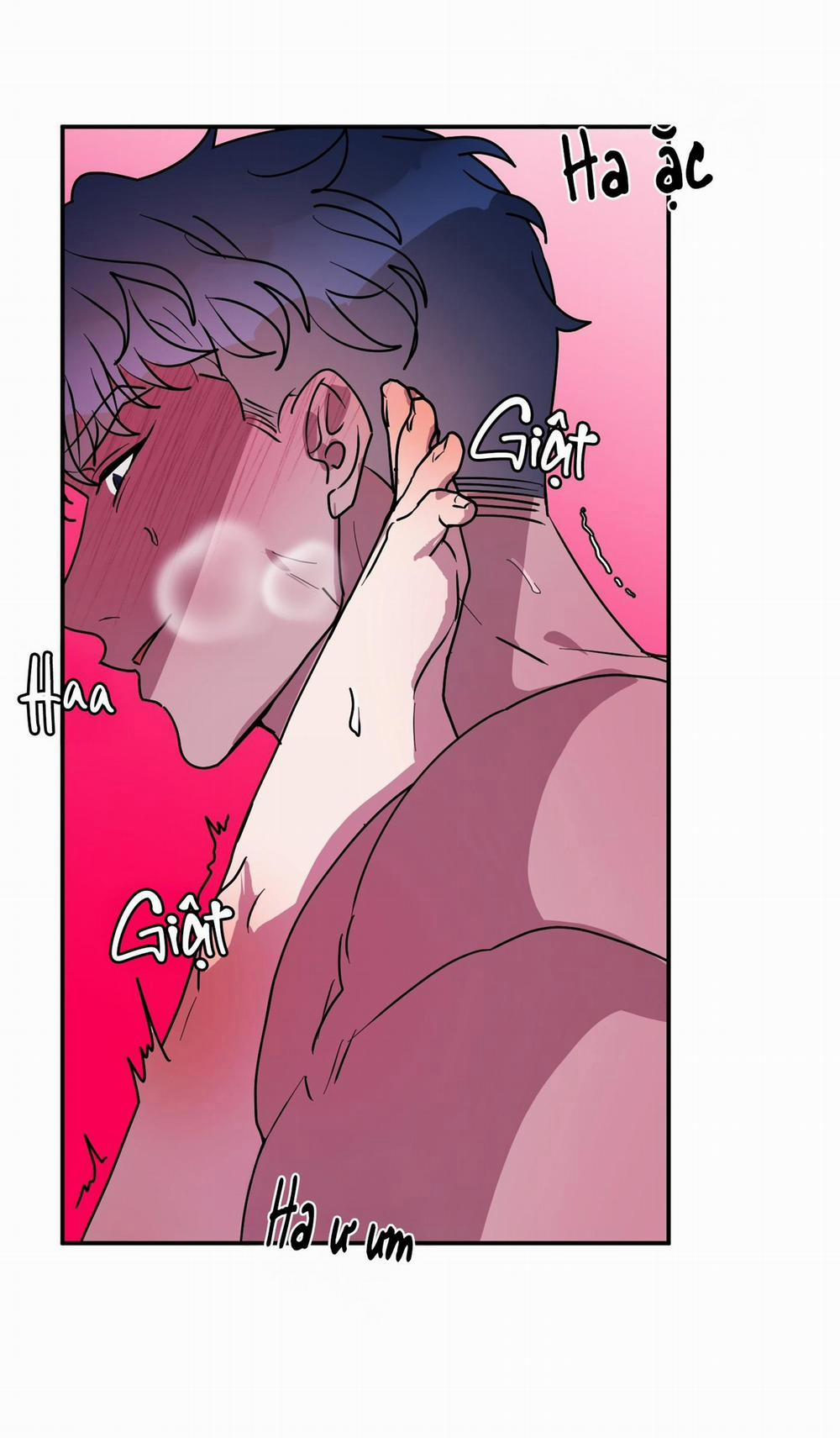 CÁ MẬP VÀ CÔ DÂU THỎ 51 trang 5