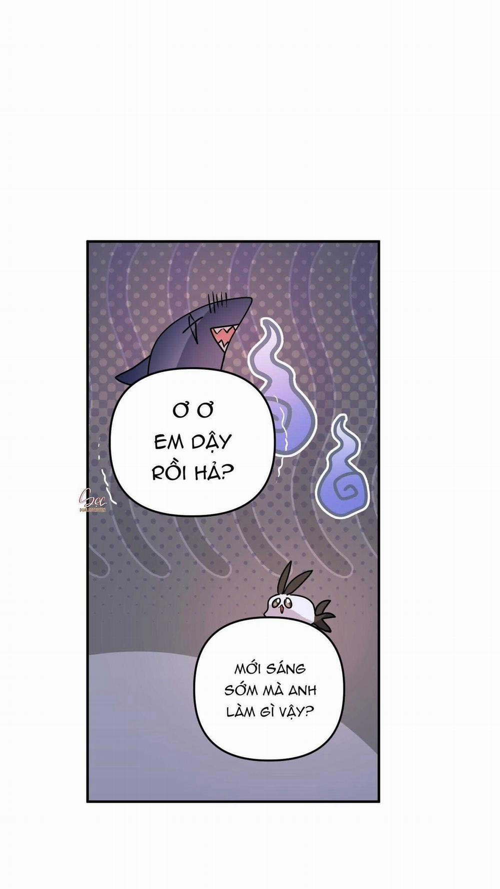 CÁ MẬP VÀ CÔ DÂU THỎ 52 trang 10