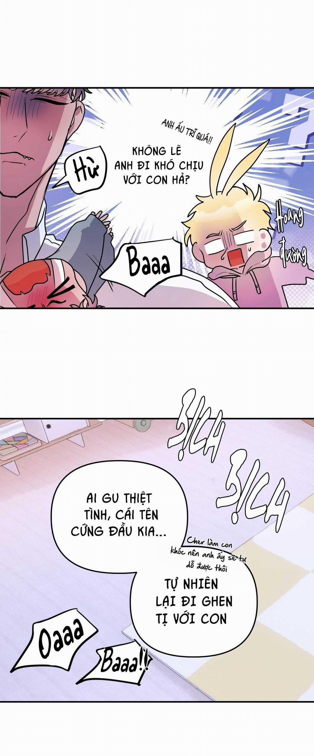 CÁ MẬP VÀ CÔ DÂU THỎ 53 trang 11