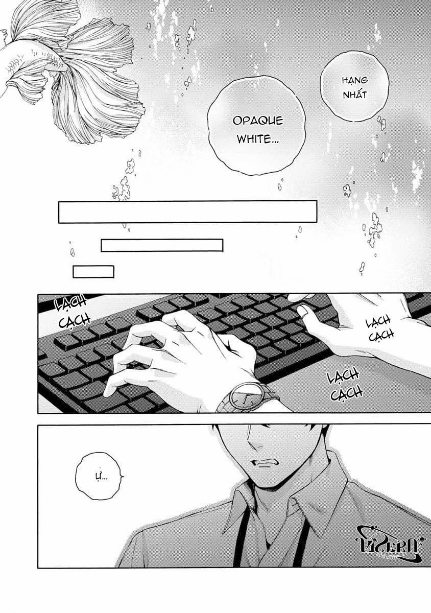 Cá Nhiệt Đới Trong Vườn Cảnh Nhỏ 1 trang 29