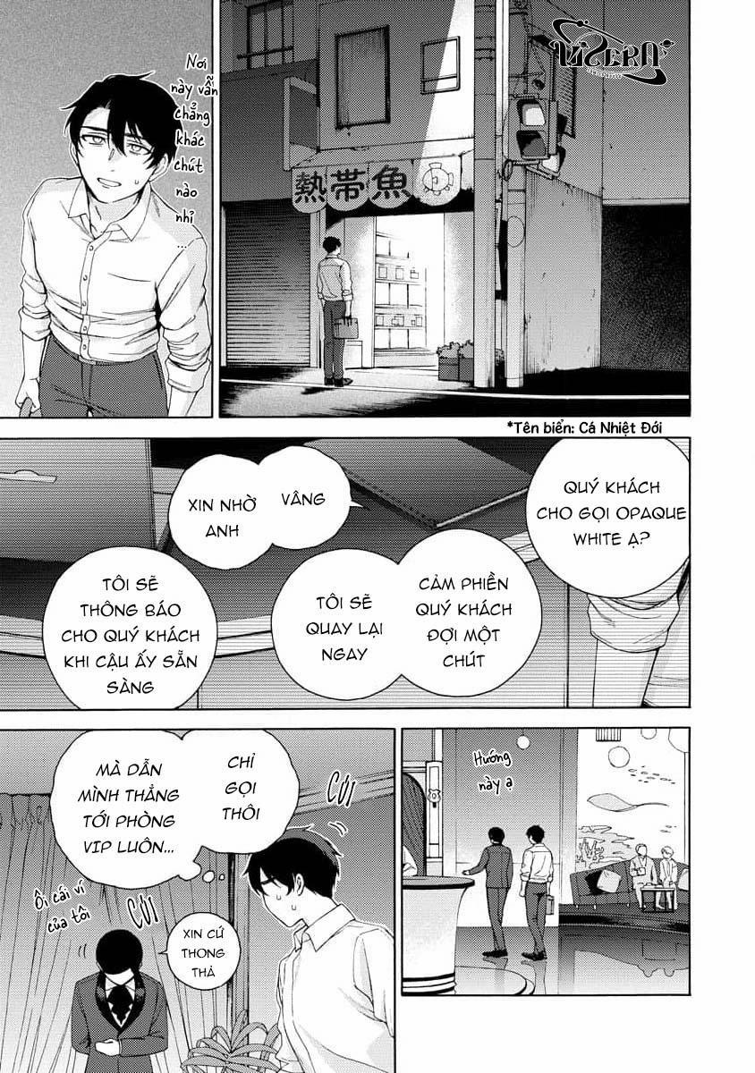 Cá Nhiệt Đới Trong Vườn Cảnh Nhỏ 1 trang 32