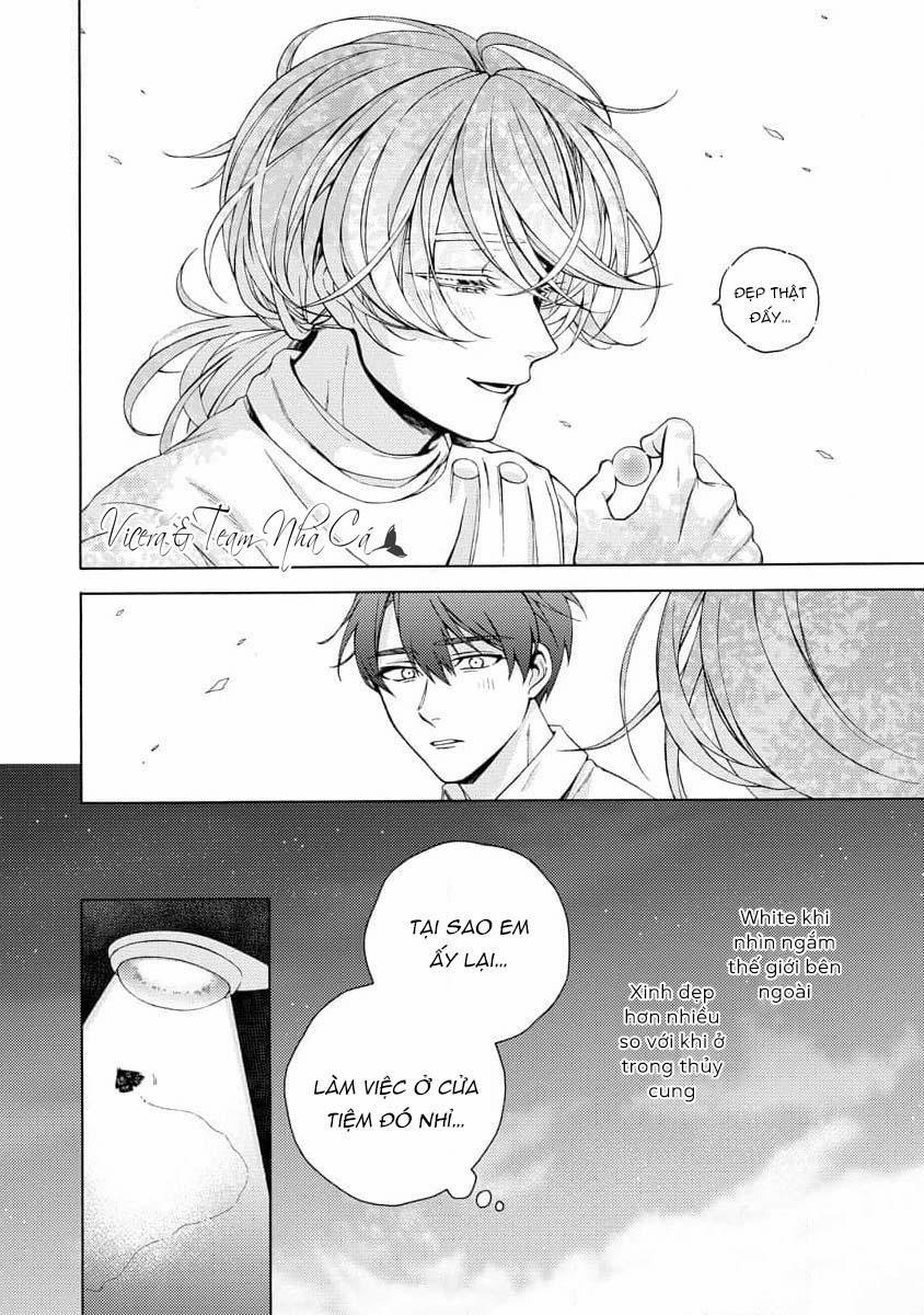 Cá Nhiệt Đới Trong Vườn Cảnh Nhỏ 2 trang 25