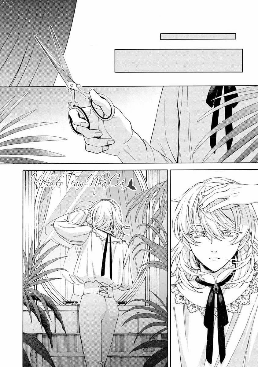 Cá Nhiệt Đới Trong Vườn Cảnh Nhỏ 3 trang 11