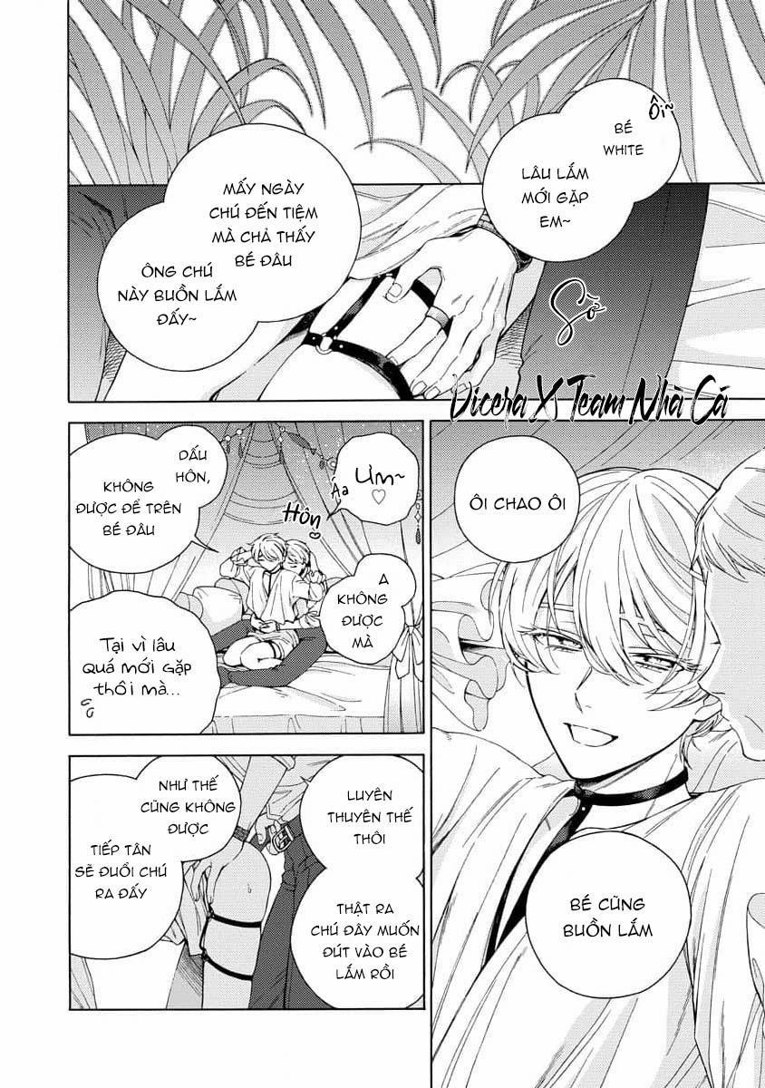 Cá Nhiệt Đới Trong Vườn Cảnh Nhỏ 4 trang 11