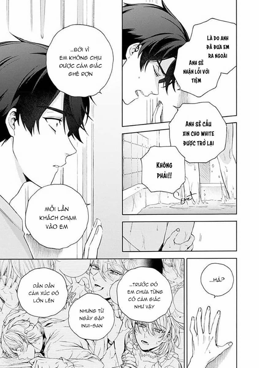 Cá Nhiệt Đới Trong Vườn Cảnh Nhỏ 6 trang 4