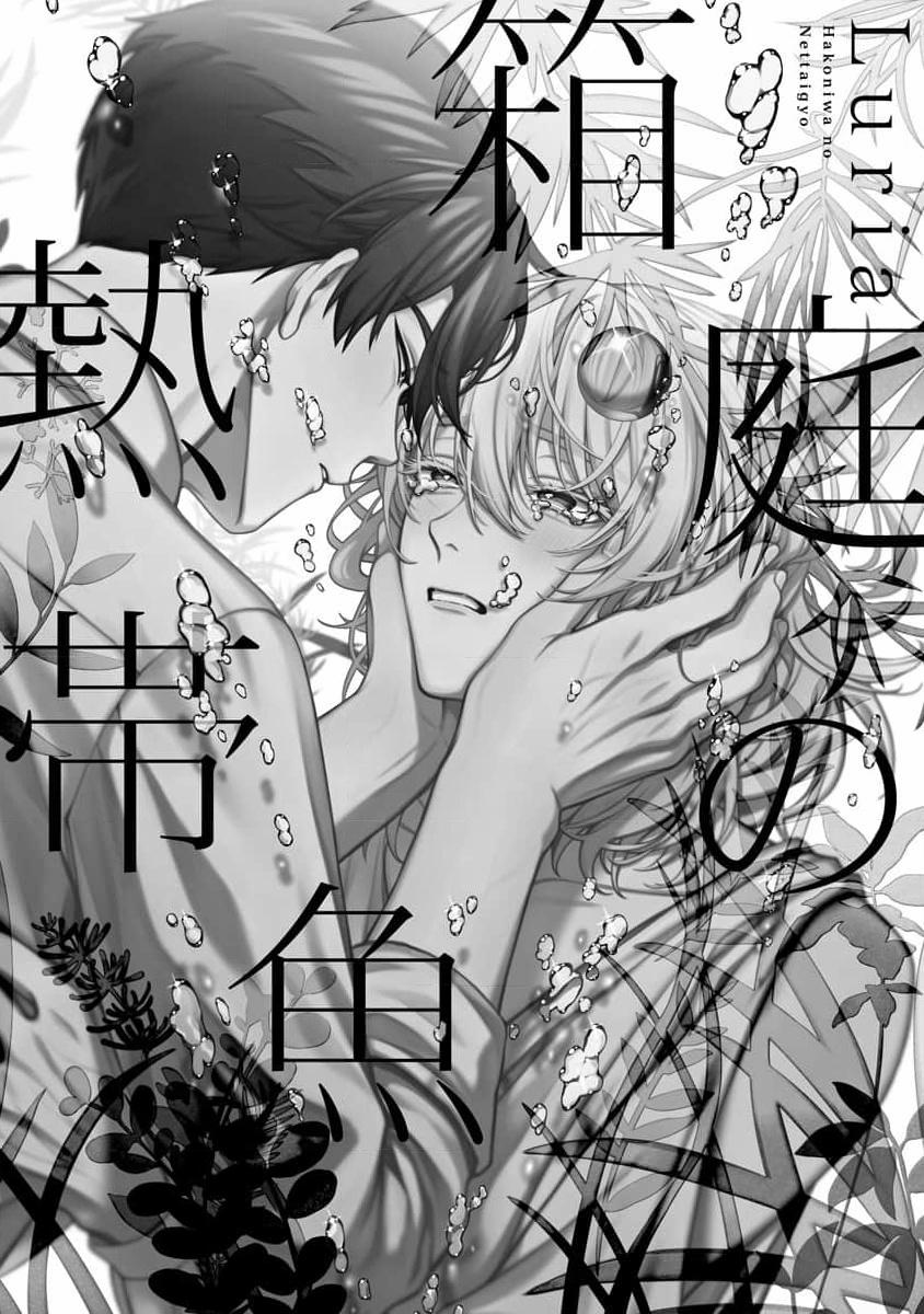 Cá Nhiệt Đới Trong Vườn Cảnh Nhỏ 7 trang 14