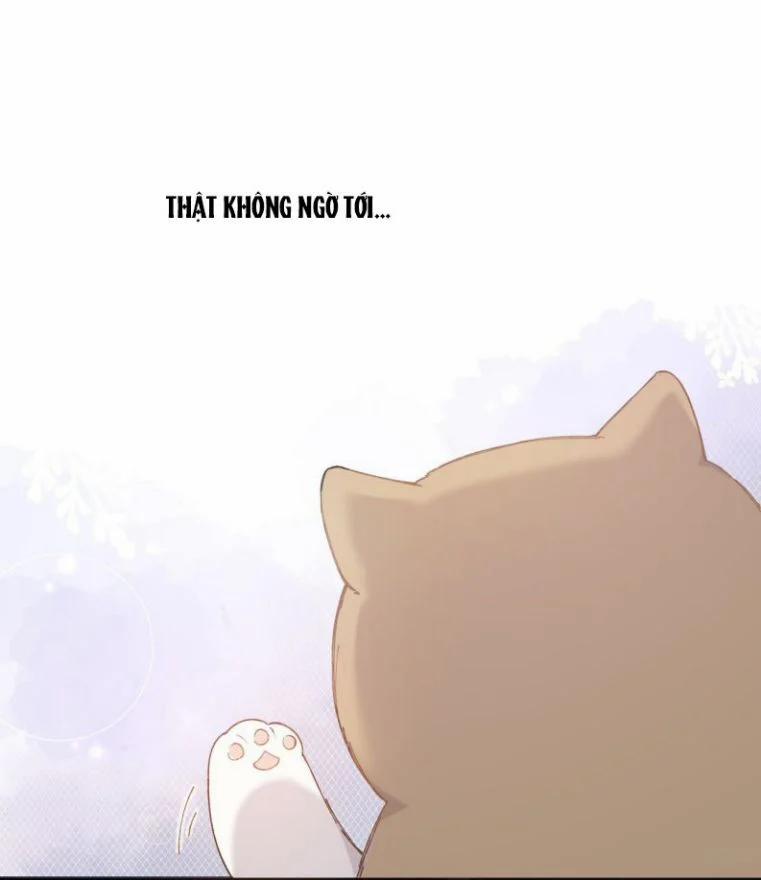 Cà Phê Mèo Phục Thù Ký 1 trang 11