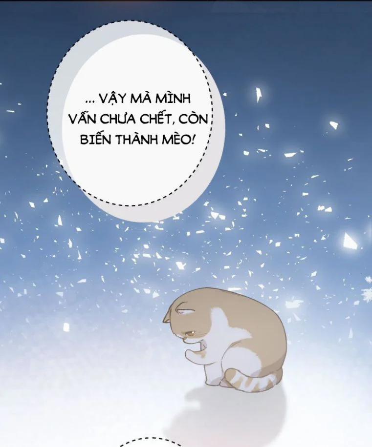 Cà Phê Mèo Phục Thù Ký 1 trang 12