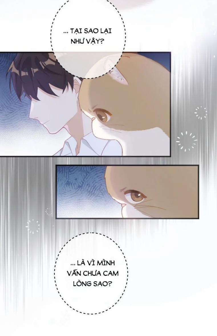 Cà Phê Mèo Phục Thù Ký 1 trang 13