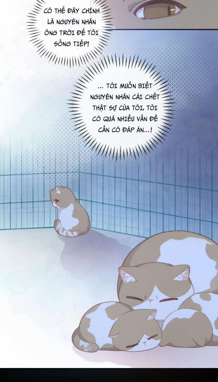 Cà Phê Mèo Phục Thù Ký 1 trang 24