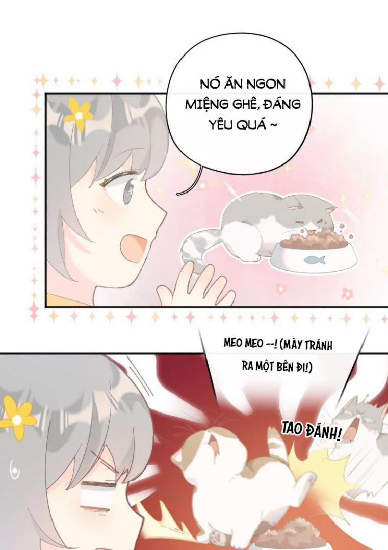 Cà Phê Mèo Phục Thù Ký 1 trang 27