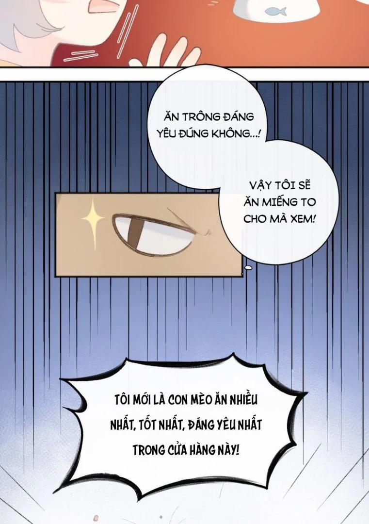 Cà Phê Mèo Phục Thù Ký 1 trang 28
