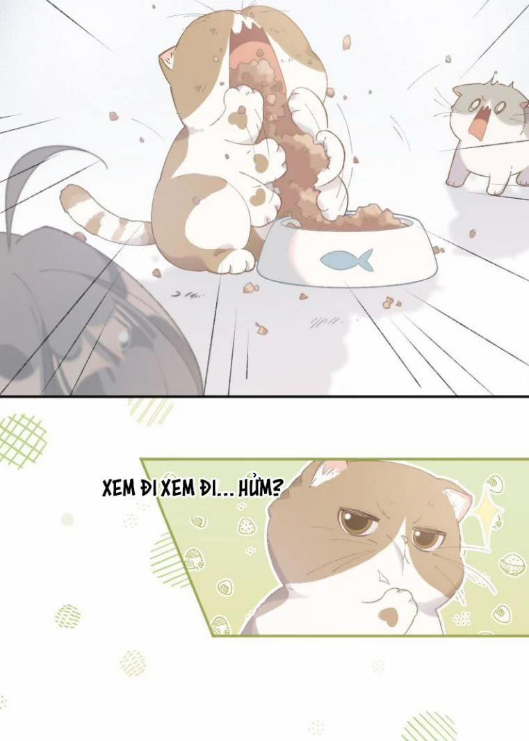 Cà Phê Mèo Phục Thù Ký 1 trang 29