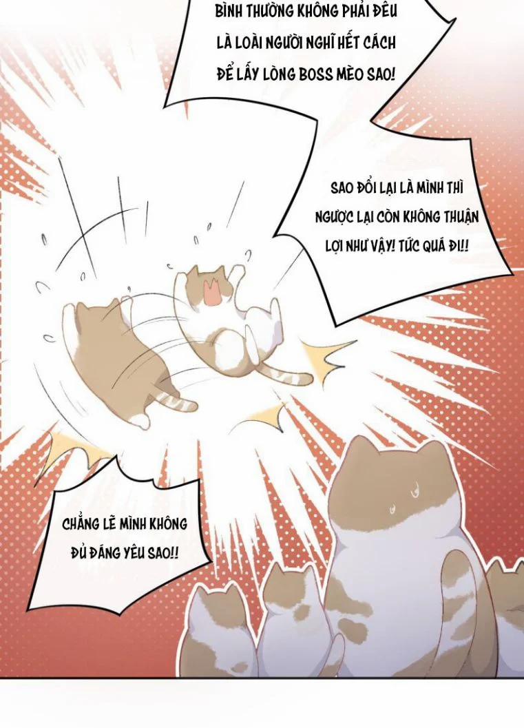 Cà Phê Mèo Phục Thù Ký 1 trang 39