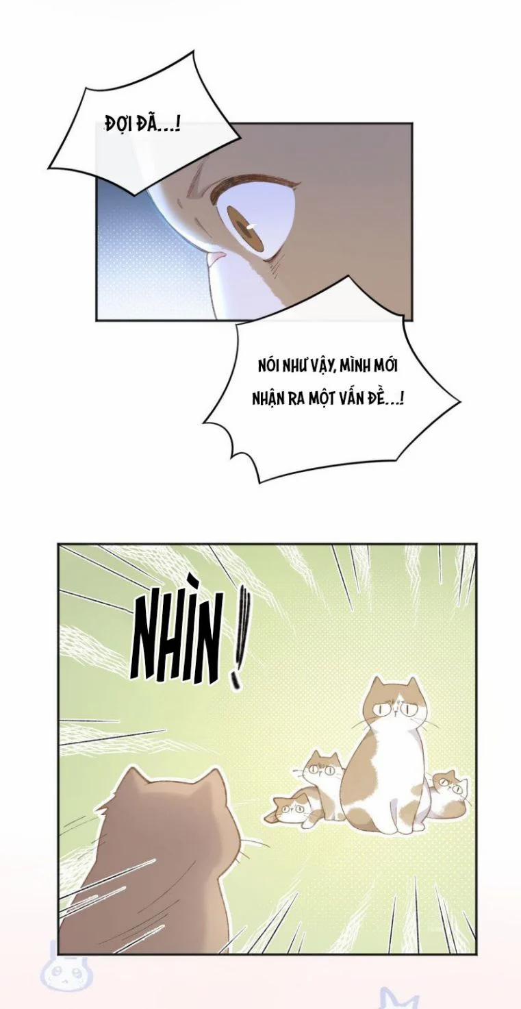 Cà Phê Mèo Phục Thù Ký 1 trang 40