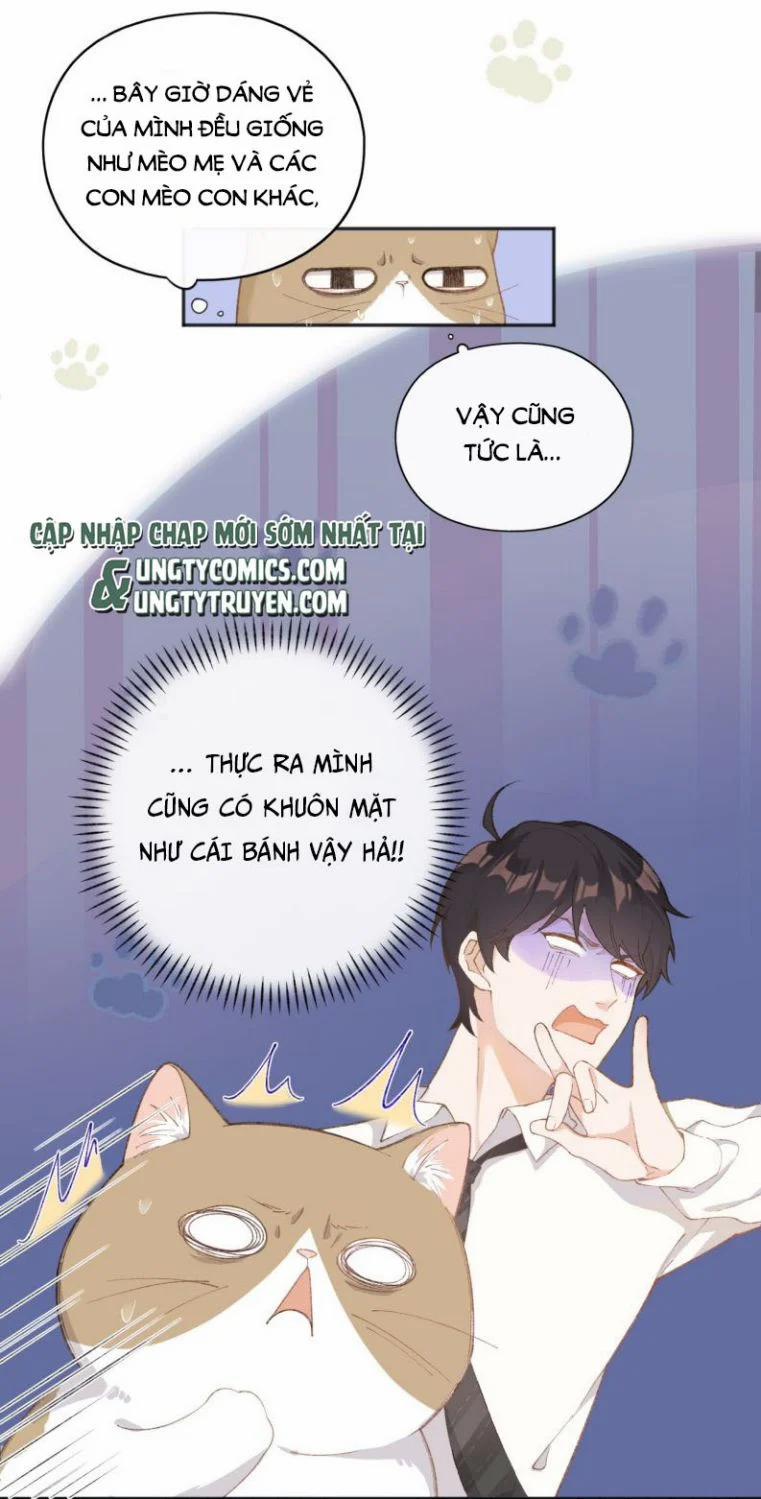 Cà Phê Mèo Phục Thù Ký 1 trang 42