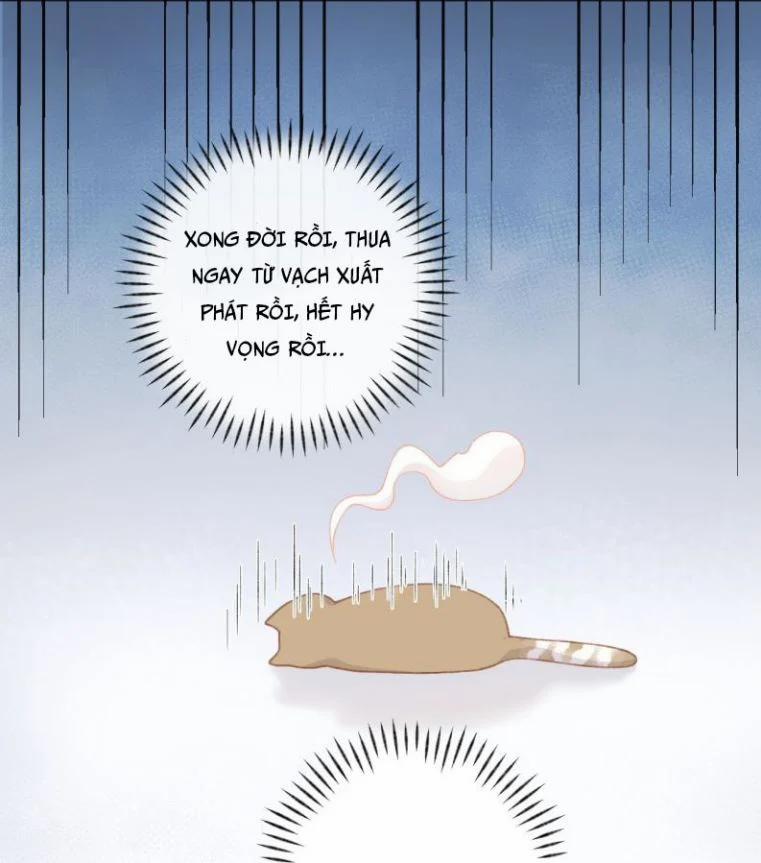 Cà Phê Mèo Phục Thù Ký 1 trang 43