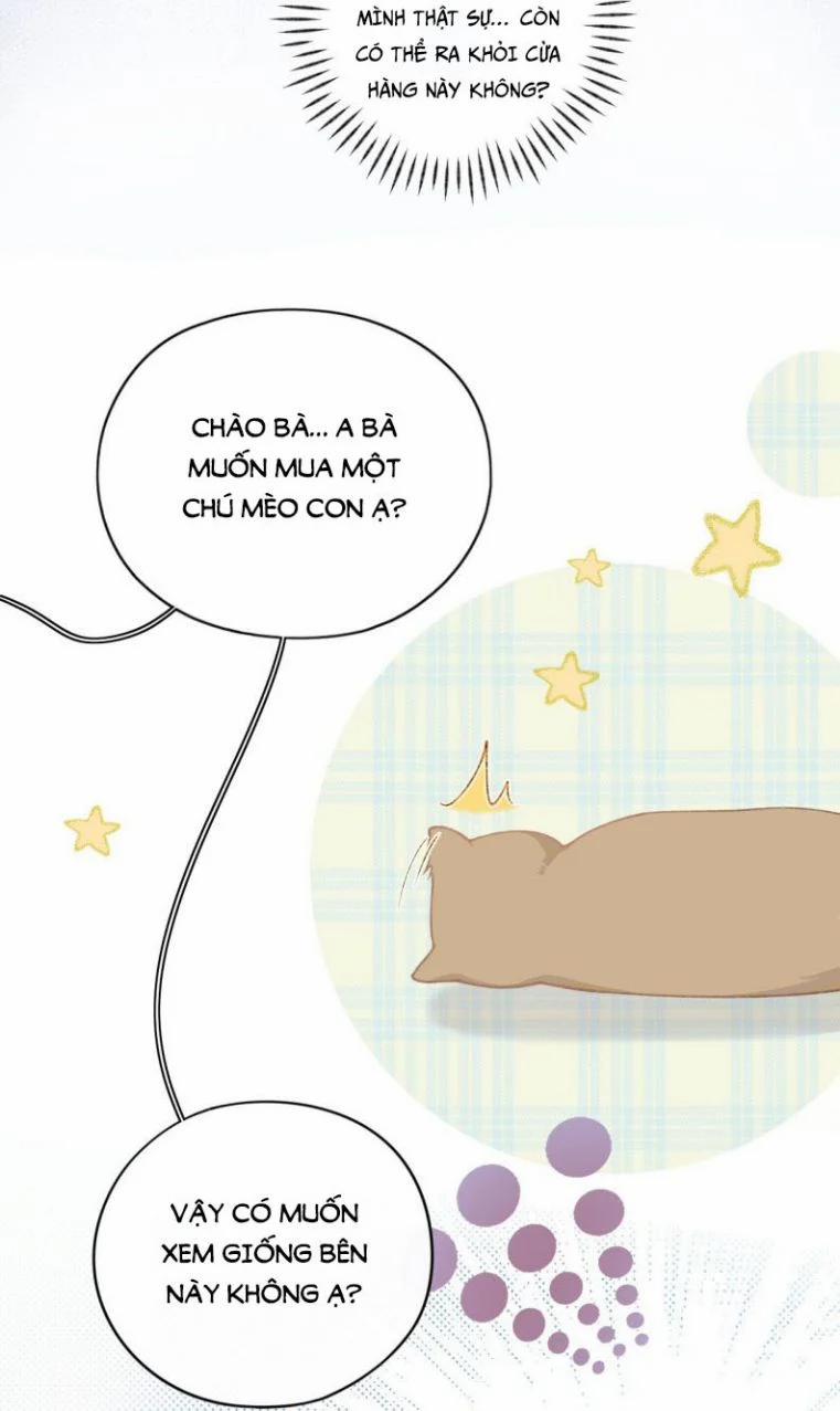 Cà Phê Mèo Phục Thù Ký 1 trang 44