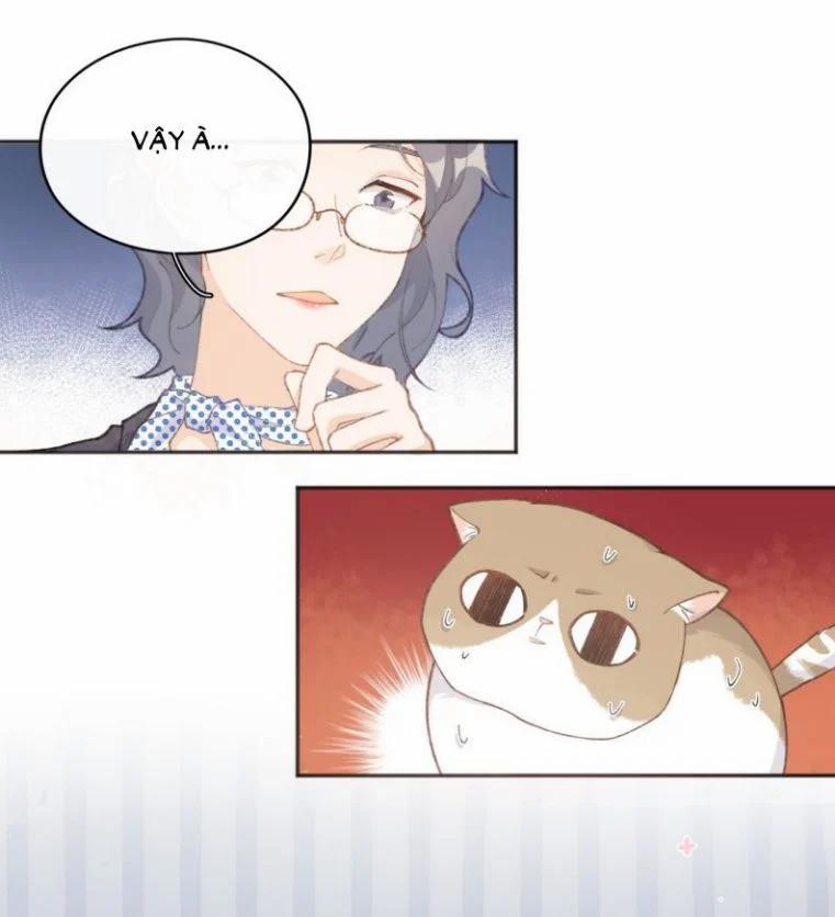 Cà Phê Mèo Phục Thù Ký 1 trang 47