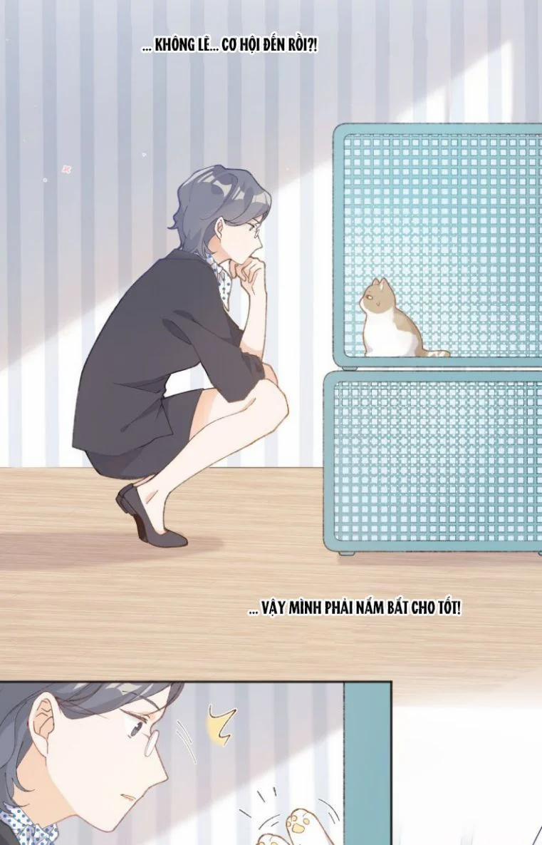 Cà Phê Mèo Phục Thù Ký 1 trang 48