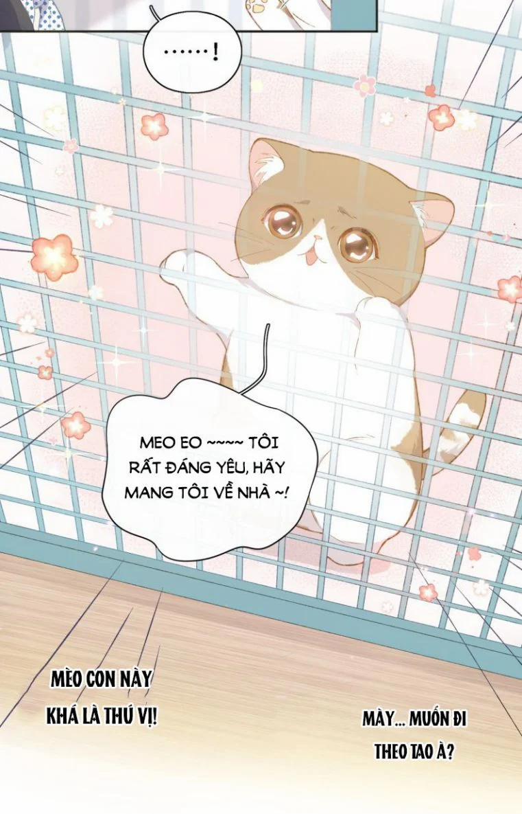 Cà Phê Mèo Phục Thù Ký 1 trang 49