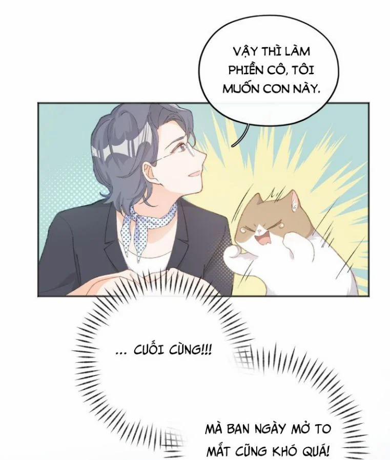 Cà Phê Mèo Phục Thù Ký 1 trang 51