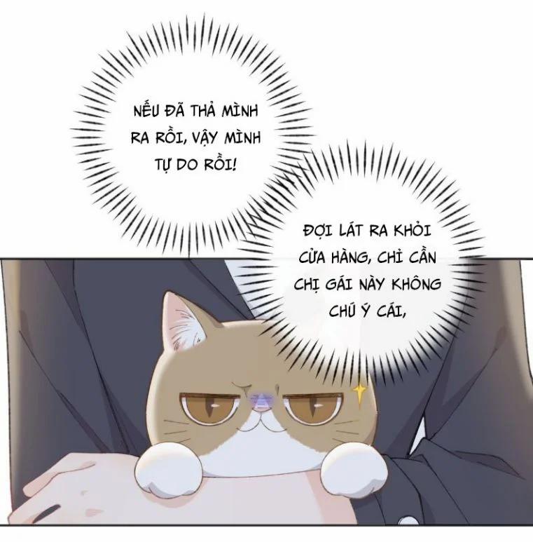 Cà Phê Mèo Phục Thù Ký 1 trang 54