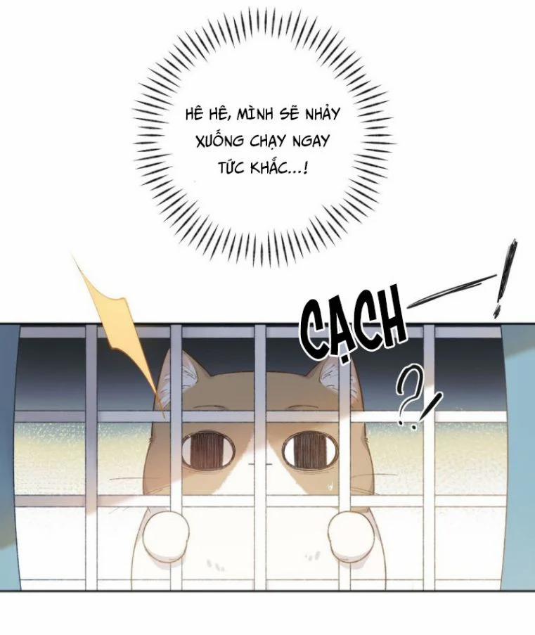 Cà Phê Mèo Phục Thù Ký 1 trang 55