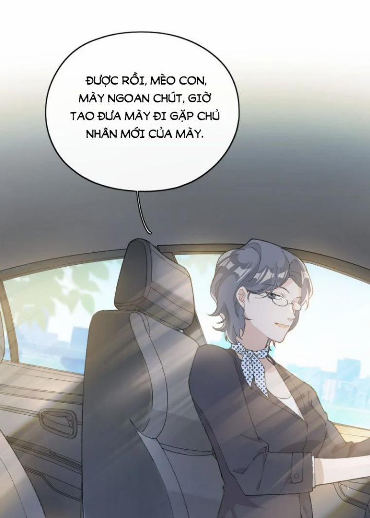 Cà Phê Mèo Phục Thù Ký 1 trang 56