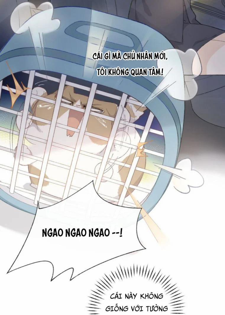 Cà Phê Mèo Phục Thù Ký 1 trang 57