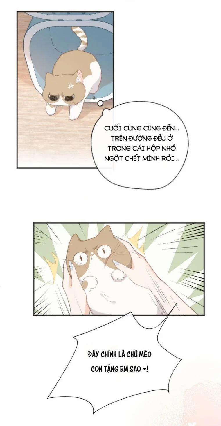 Cà Phê Mèo Phục Thù Ký 1 trang 60