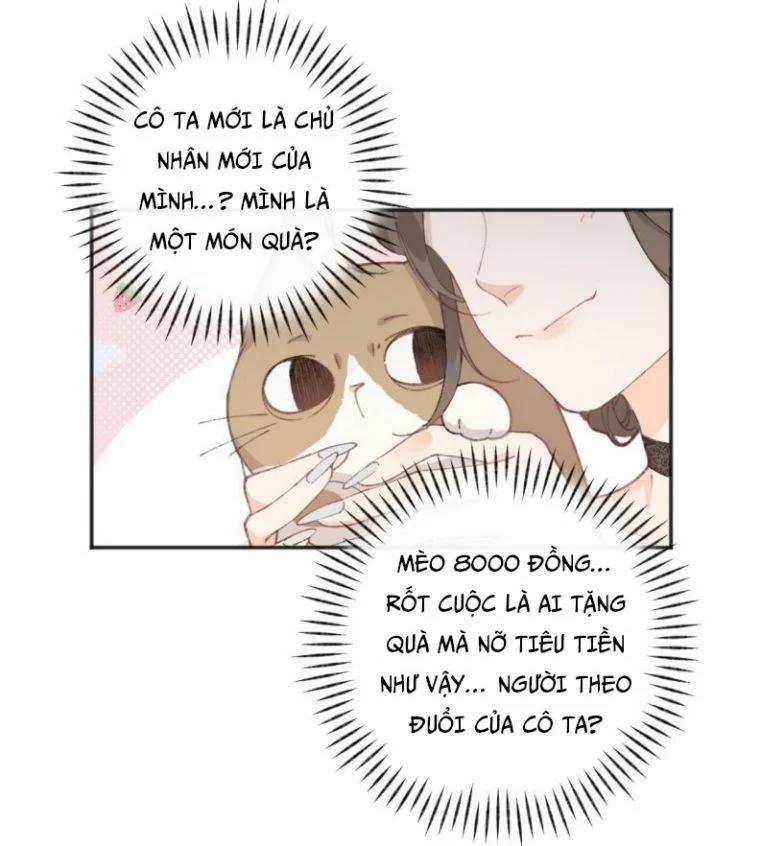 Cà Phê Mèo Phục Thù Ký 1 trang 62