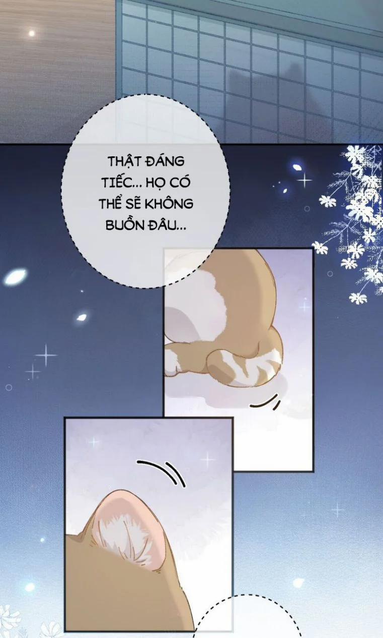 Cà Phê Mèo Phục Thù Ký 1 trang 7