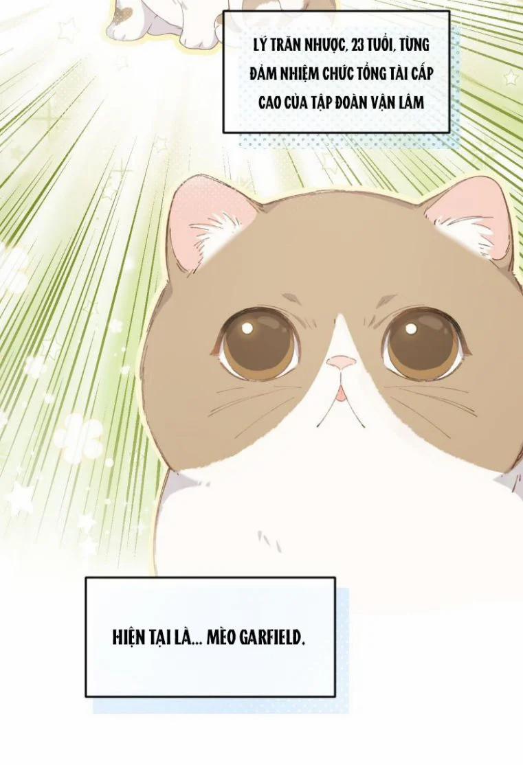 Cà Phê Mèo Phục Thù Ký 1 trang 9