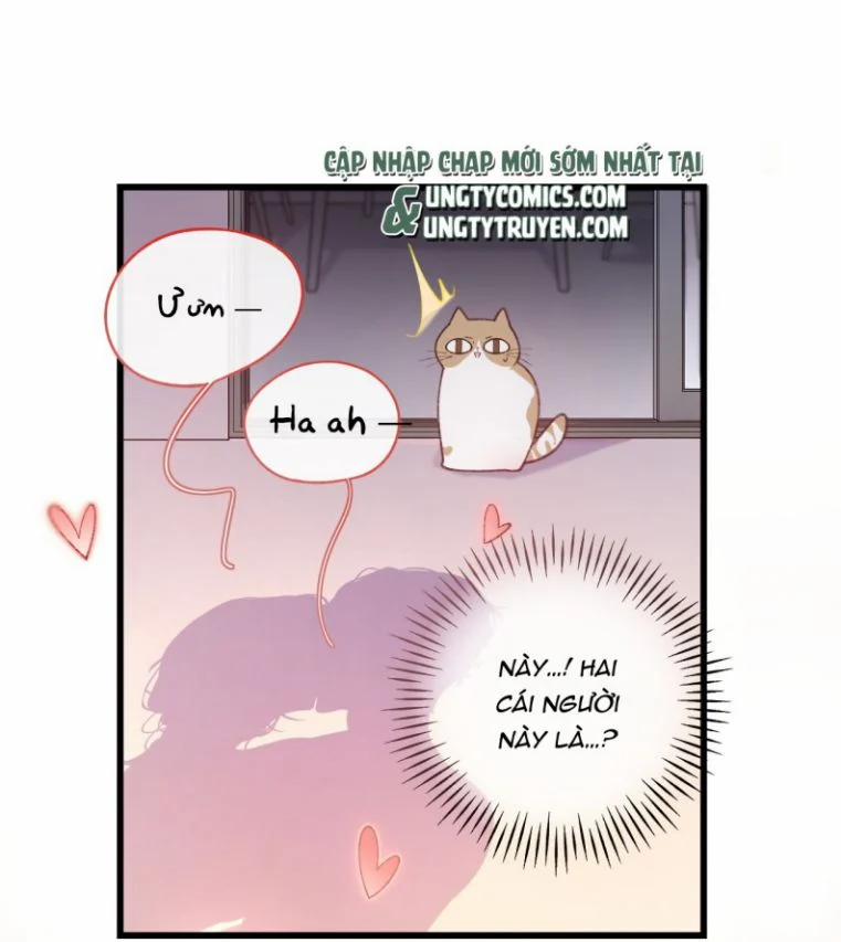 Cà Phê Mèo Phục Thù Ký 2 trang 16