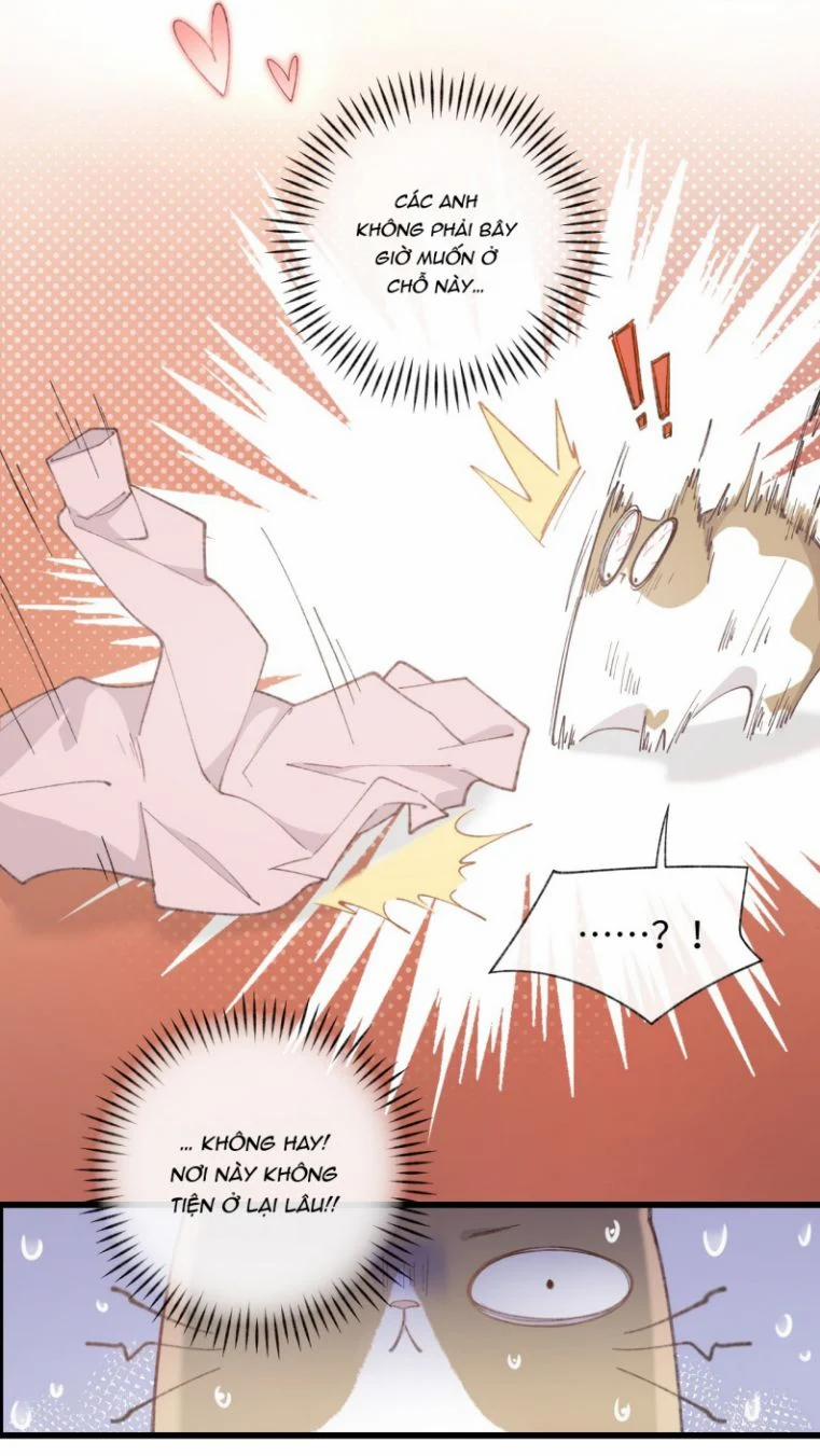 Cà Phê Mèo Phục Thù Ký 2 trang 17