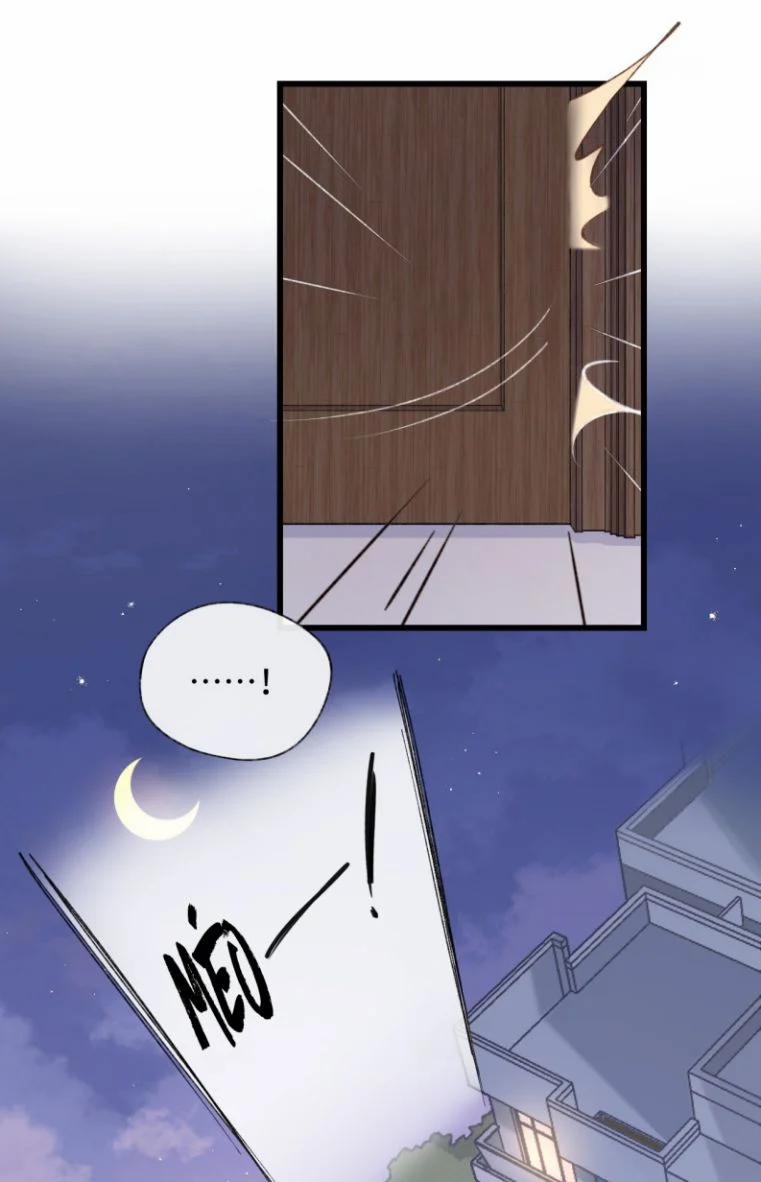 Cà Phê Mèo Phục Thù Ký 2 trang 19