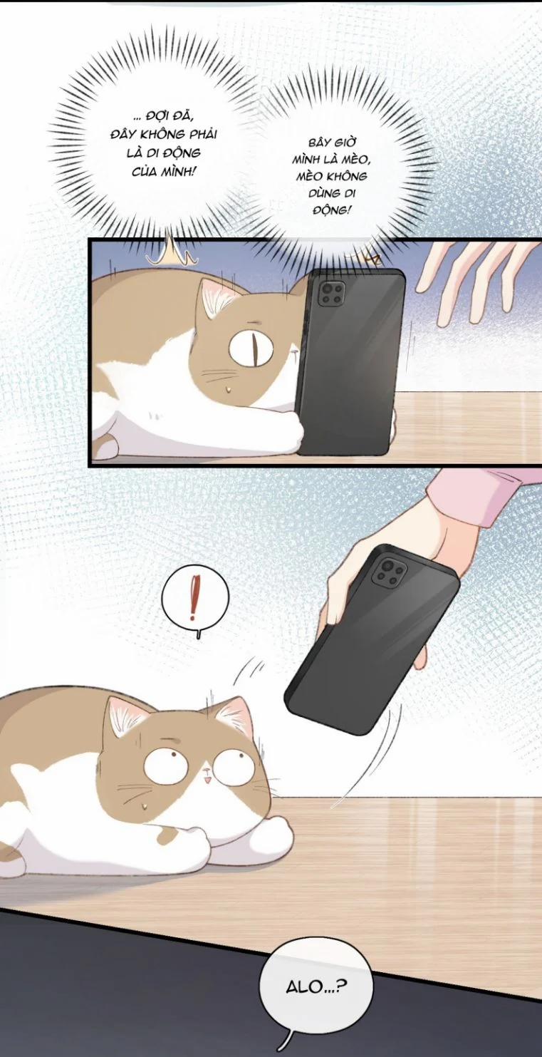 Cà Phê Mèo Phục Thù Ký 2 trang 23