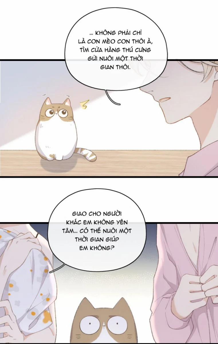 Cà Phê Mèo Phục Thù Ký 2 trang 28