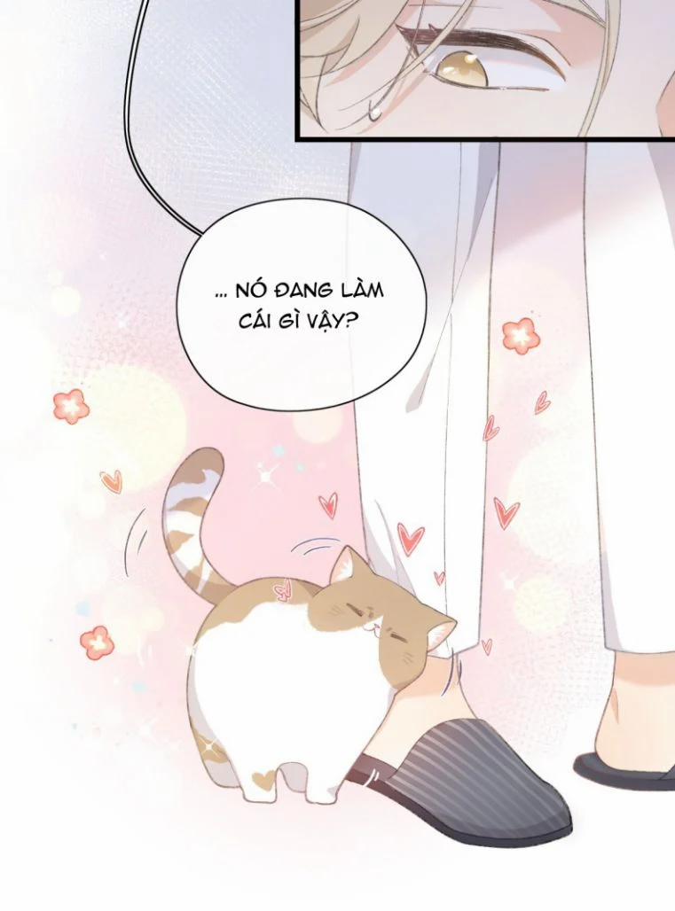 Cà Phê Mèo Phục Thù Ký 2 trang 30