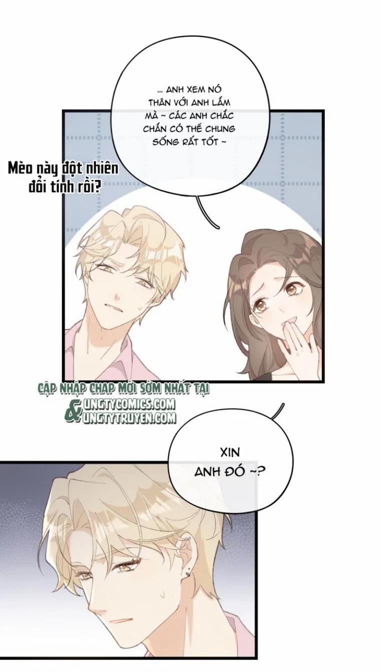 Cà Phê Mèo Phục Thù Ký 2 trang 31