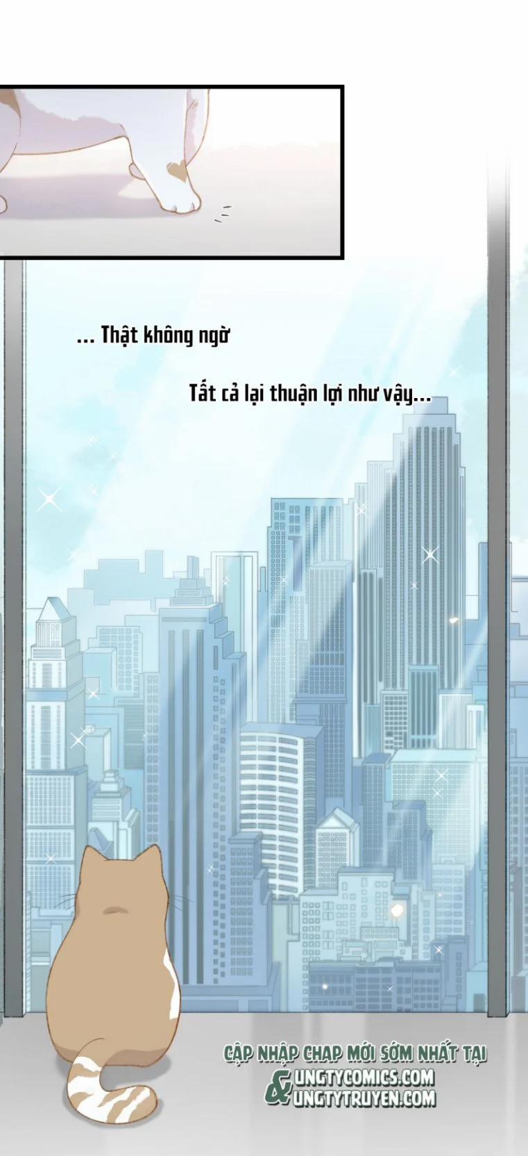 Cà Phê Mèo Phục Thù Ký 2 trang 35