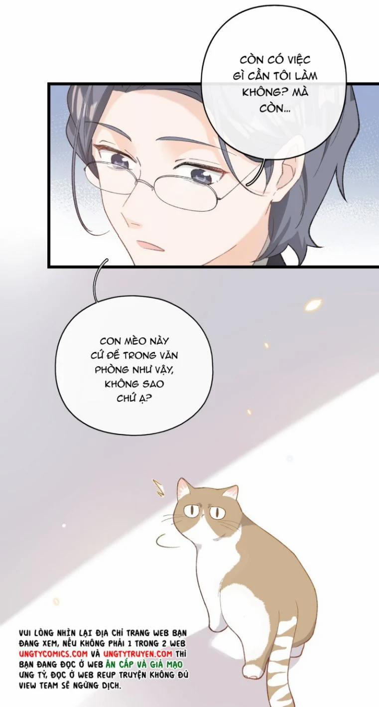 Cà Phê Mèo Phục Thù Ký 2 trang 39