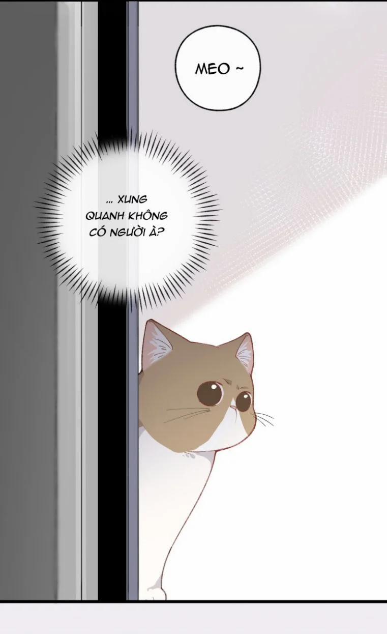 Cà Phê Mèo Phục Thù Ký 2 trang 44
