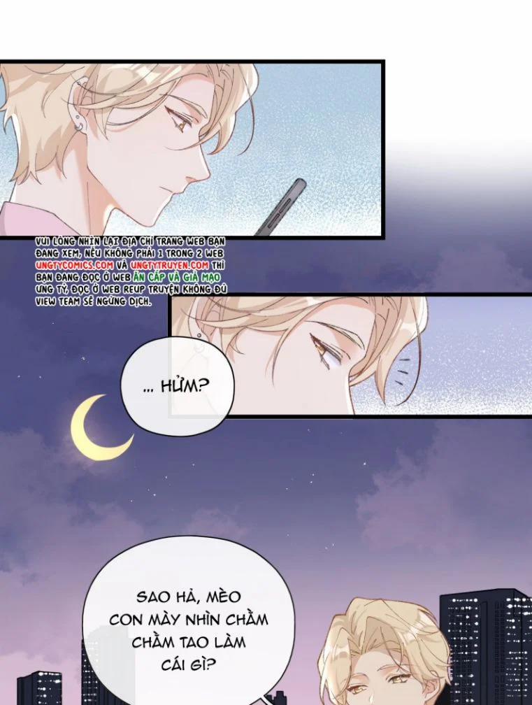 Cà Phê Mèo Phục Thù Ký 2 trang 7